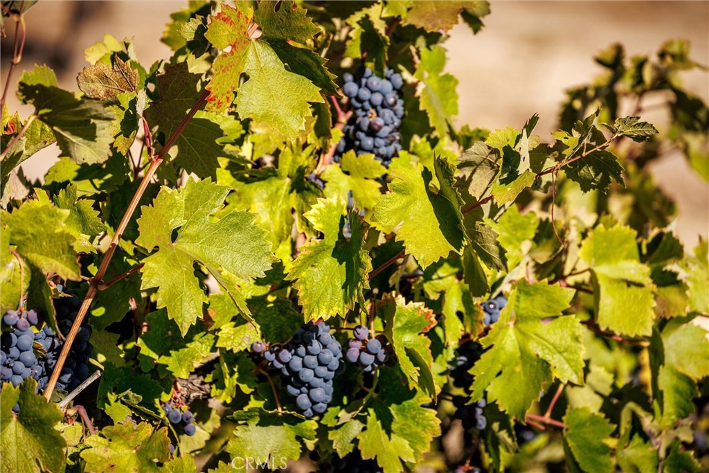 3000 Oakdale Rd., Paso Robles, CA 93446