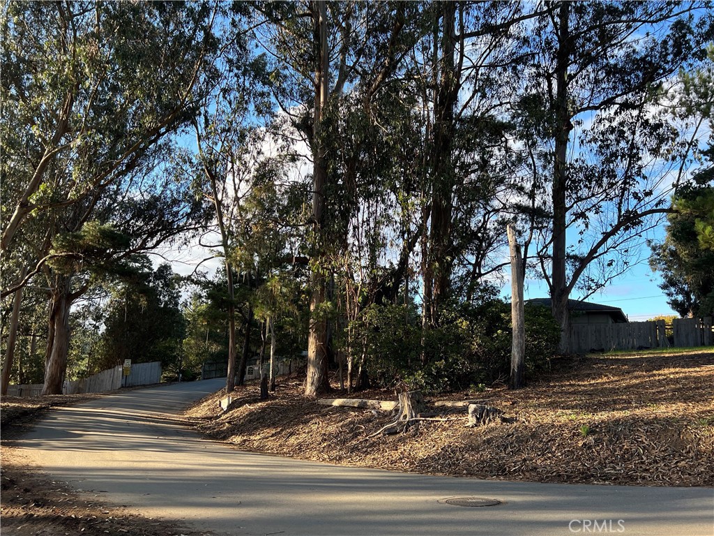 1985 Wilton Dr, Cambria, CA 93428