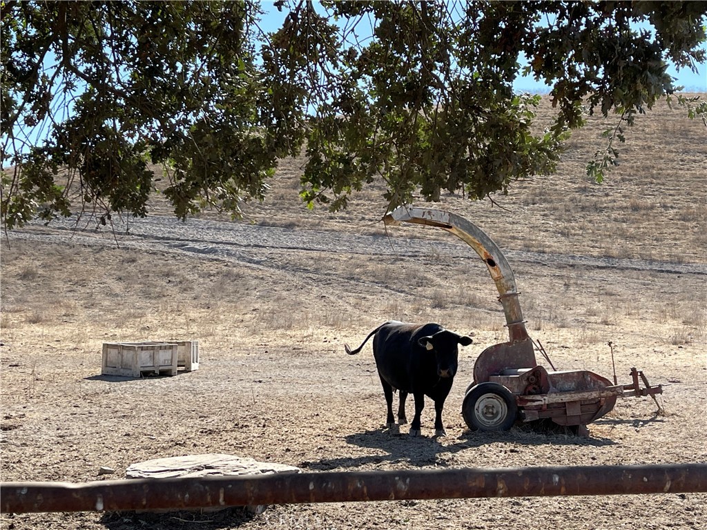 1 Las Tablas, Templeton, CA 93465