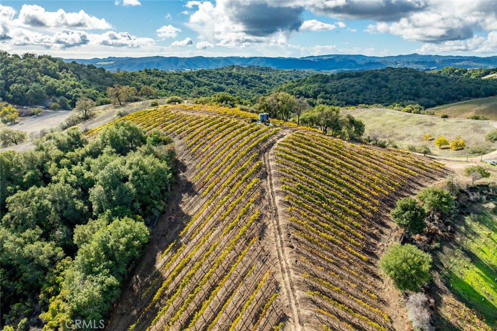 0 Peachy Canyon, Paso Robles, CA 93446