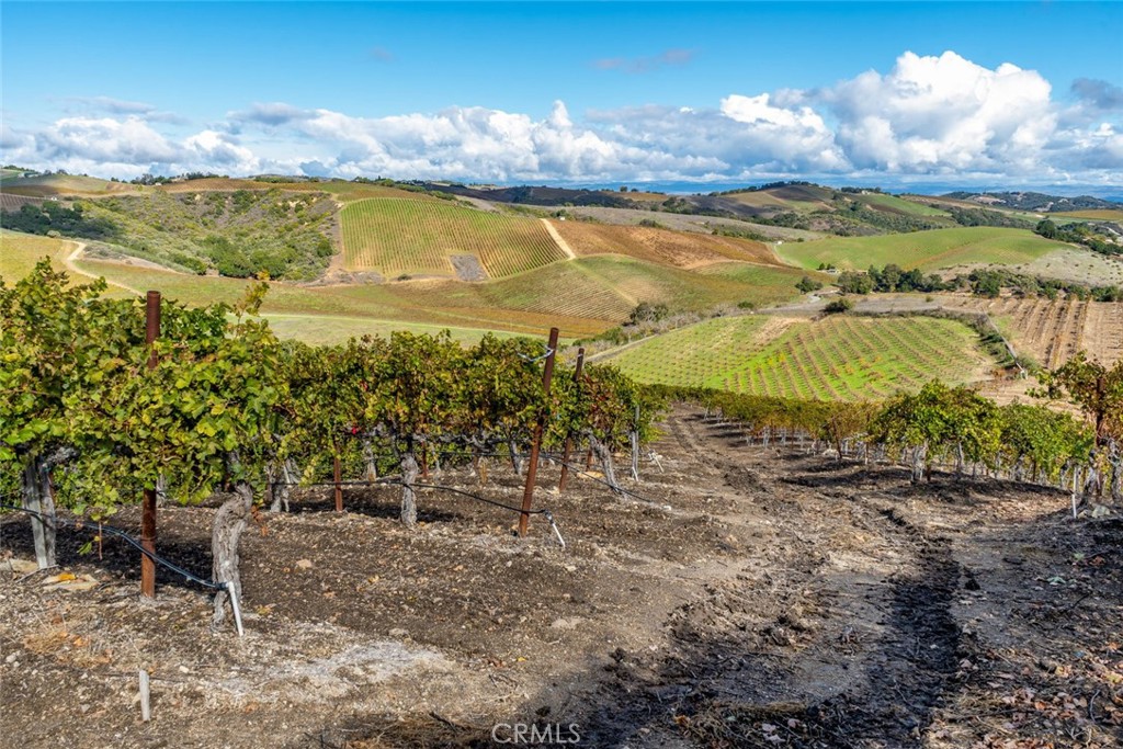 0 Peachy Canyon, Paso Robles, CA 93446