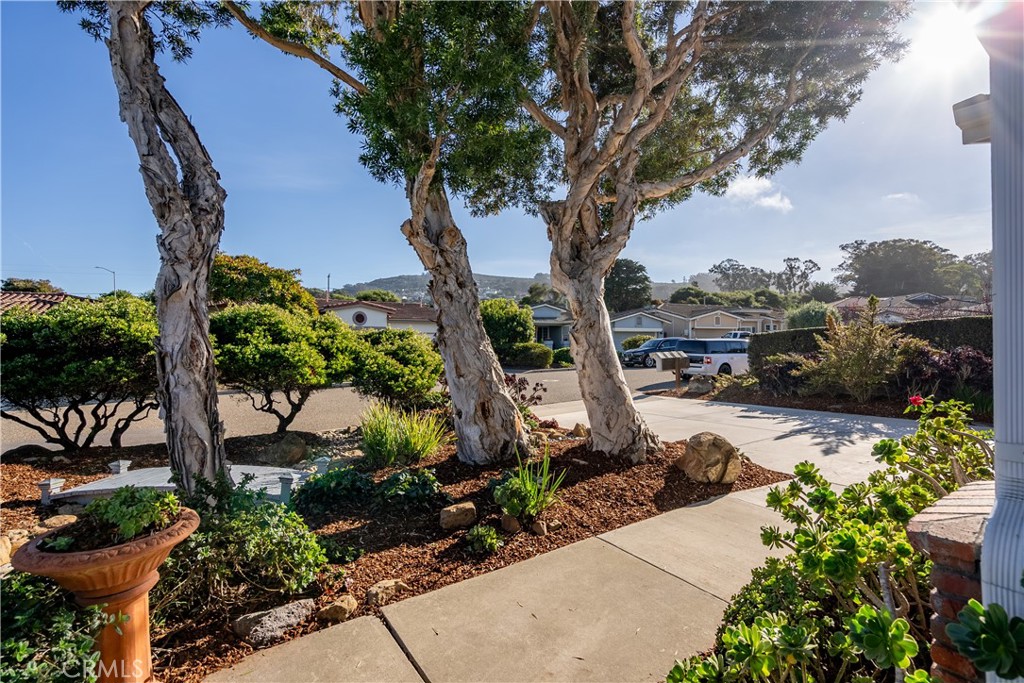 236 Marianela, Los Osos, CA 93402