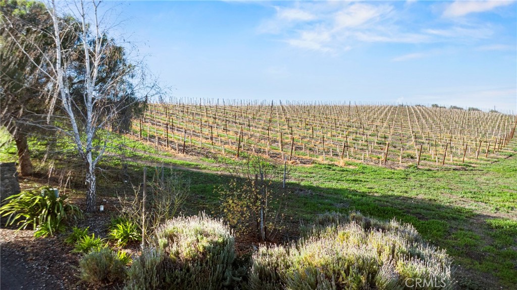 7114 Orcutt Rd, San Luis Obispo, CA 93401