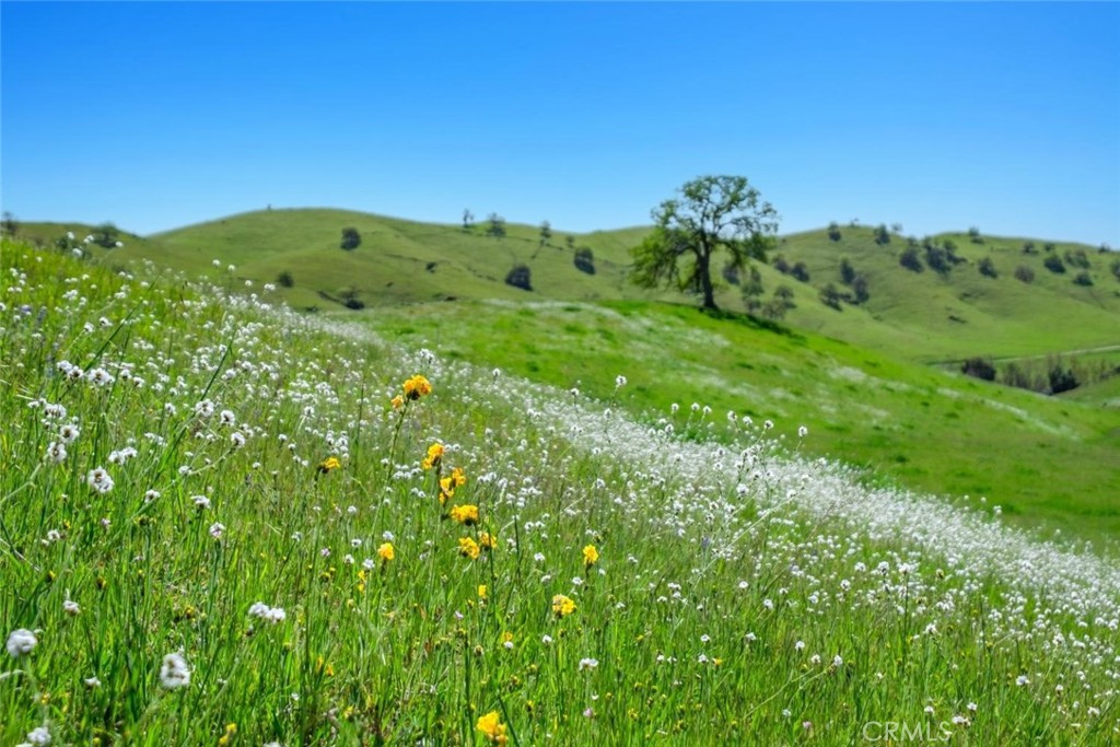 19623 Road 211, Friant, CA 93626