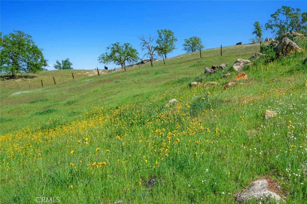 19623 Road 211, Friant, CA 93626