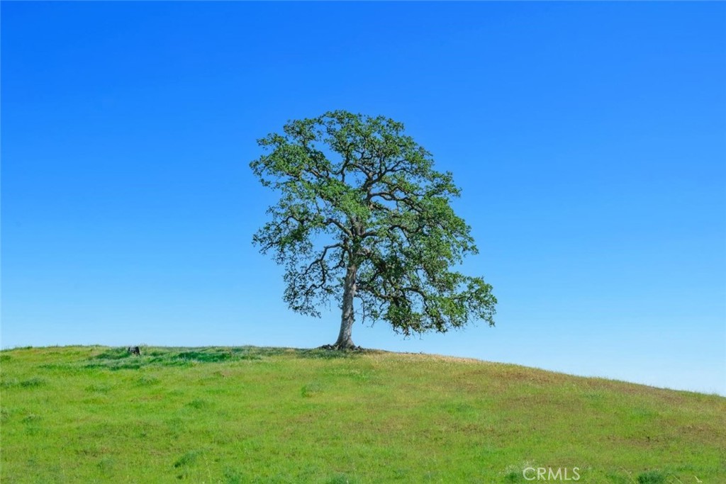 19623 Road 211, Friant, CA 93626