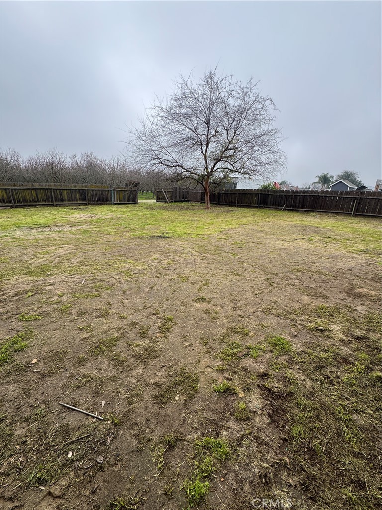 2433 W Clemenceau, Caruthers, CA 93609