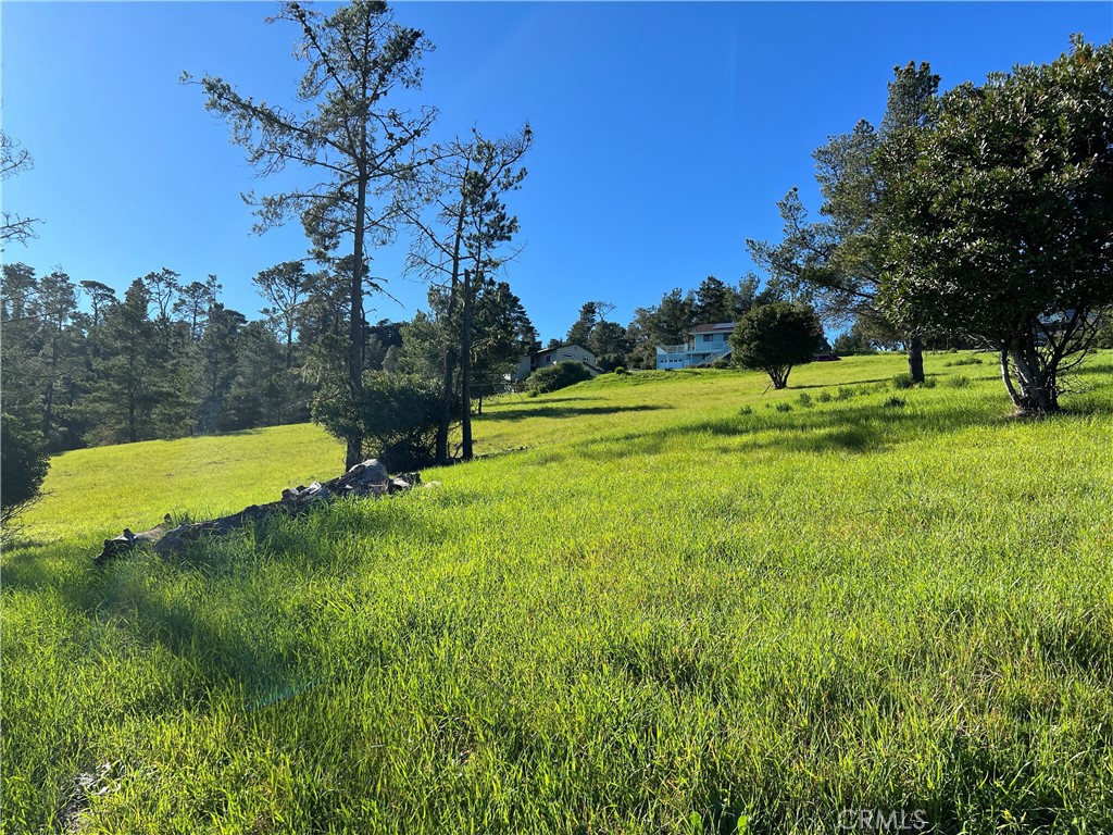 0 London Ln, Cambria, CA 93428