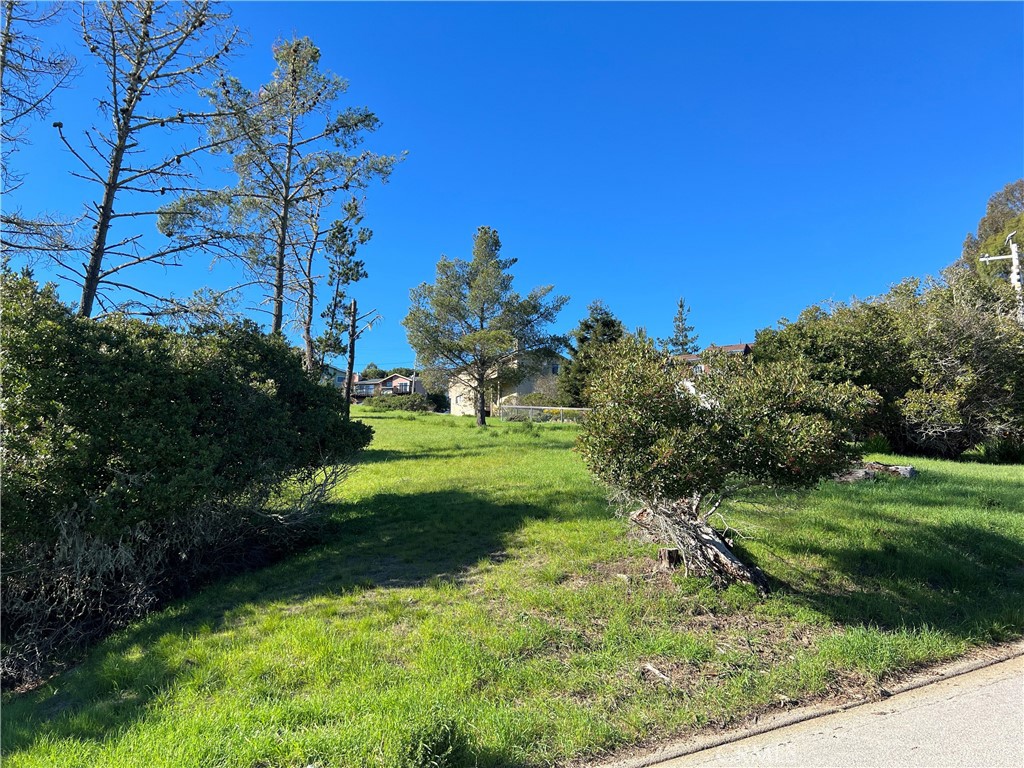 0 London Ln, Cambria, CA 93428