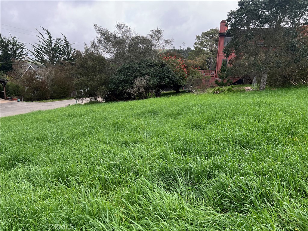 1739 Arliss Dr, Cambria, CA 93428