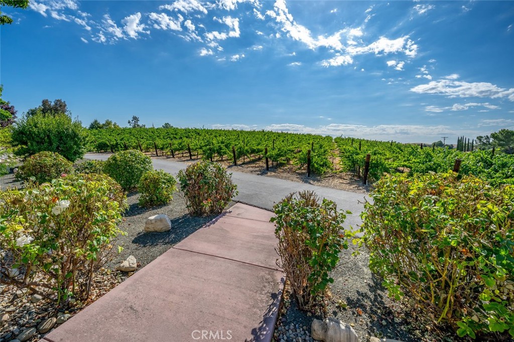 6172 Hawk Ridge Place, Paso Robles, CA 93446