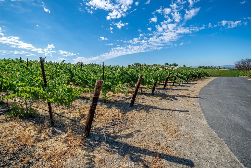 6172 Hawk Ridge Place, Paso Robles, CA 93446