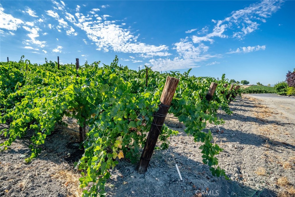 6172 Hawk Ridge Place, Paso Robles, CA 93446