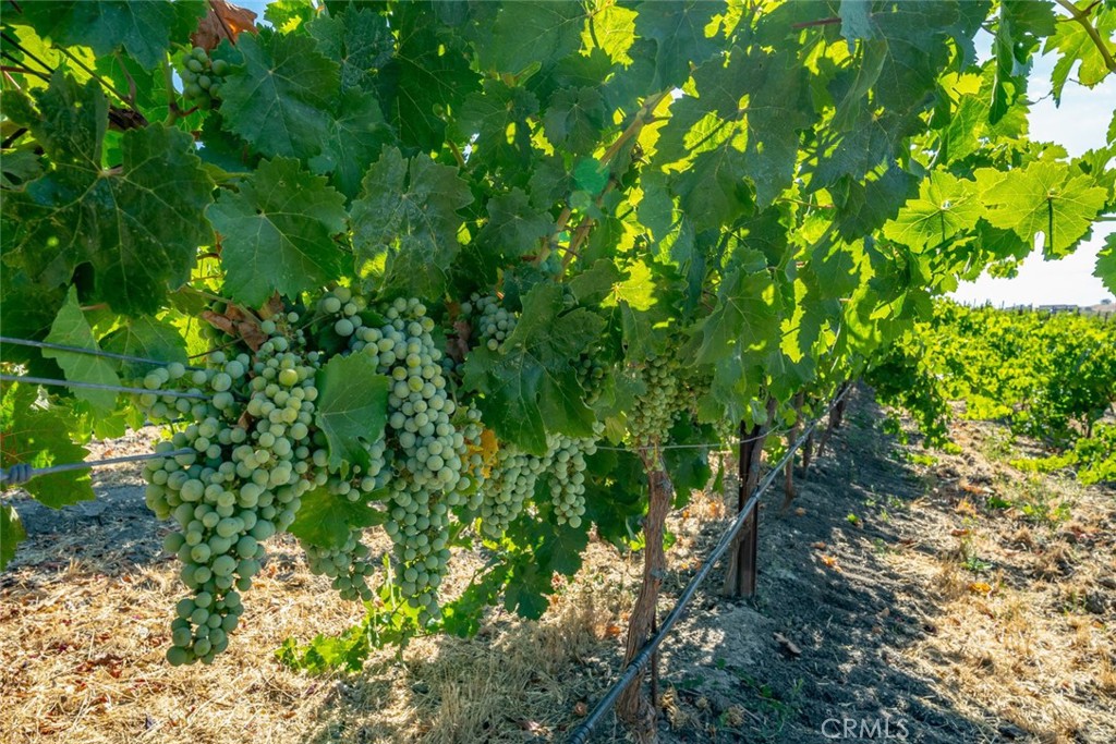 6172 Hawk Ridge Place, Paso Robles, CA 93446