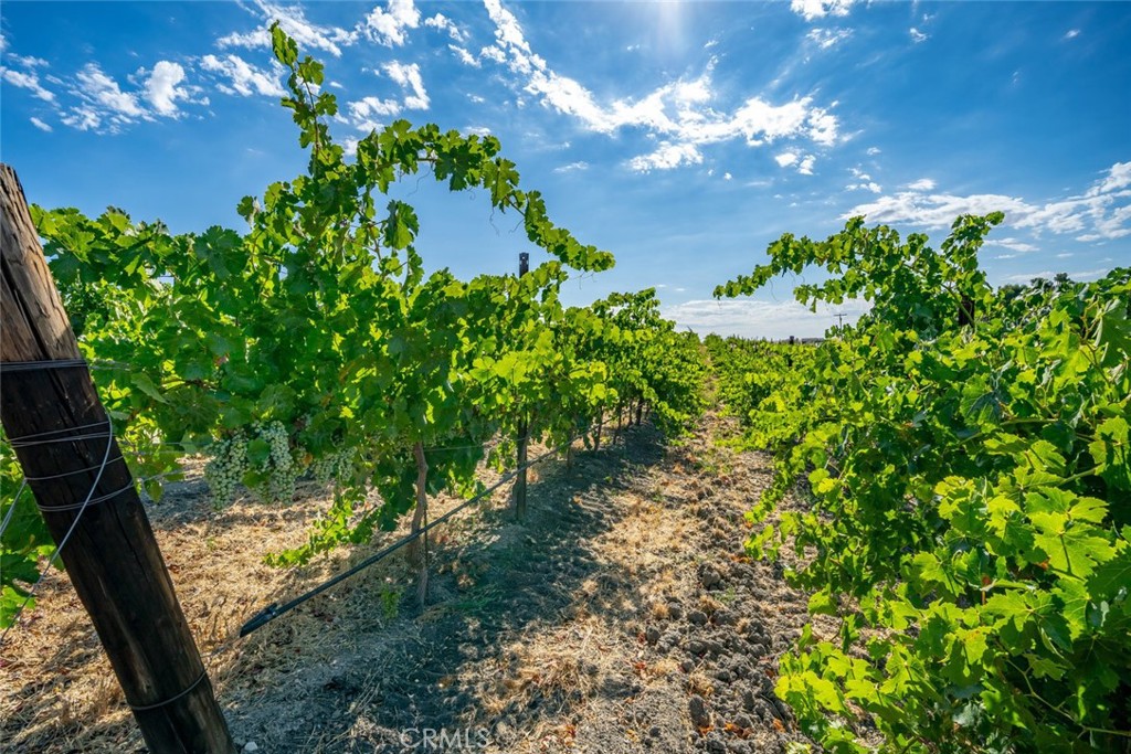 6172 Hawk Ridge Place, Paso Robles, CA 93446