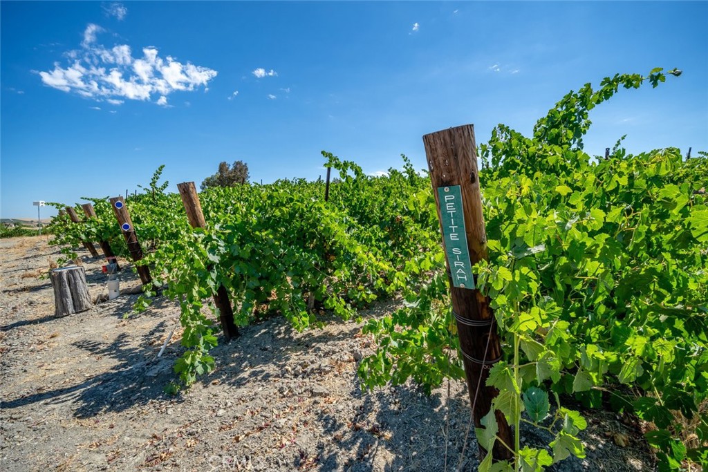 6172 Hawk Ridge Place, Paso Robles, CA 93446