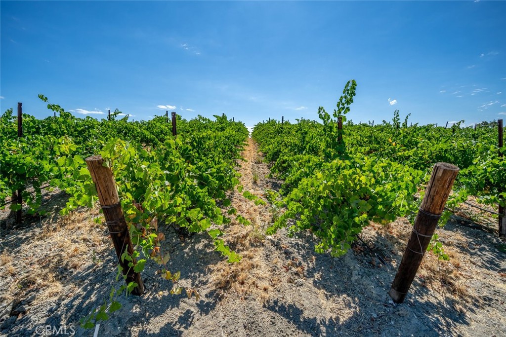 6172 Hawk Ridge Place, Paso Robles, CA 93446