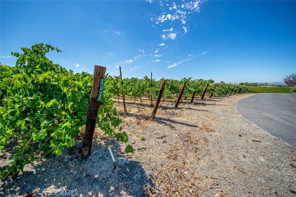 6172 Hawk Ridge Place, Paso Robles, CA 93446