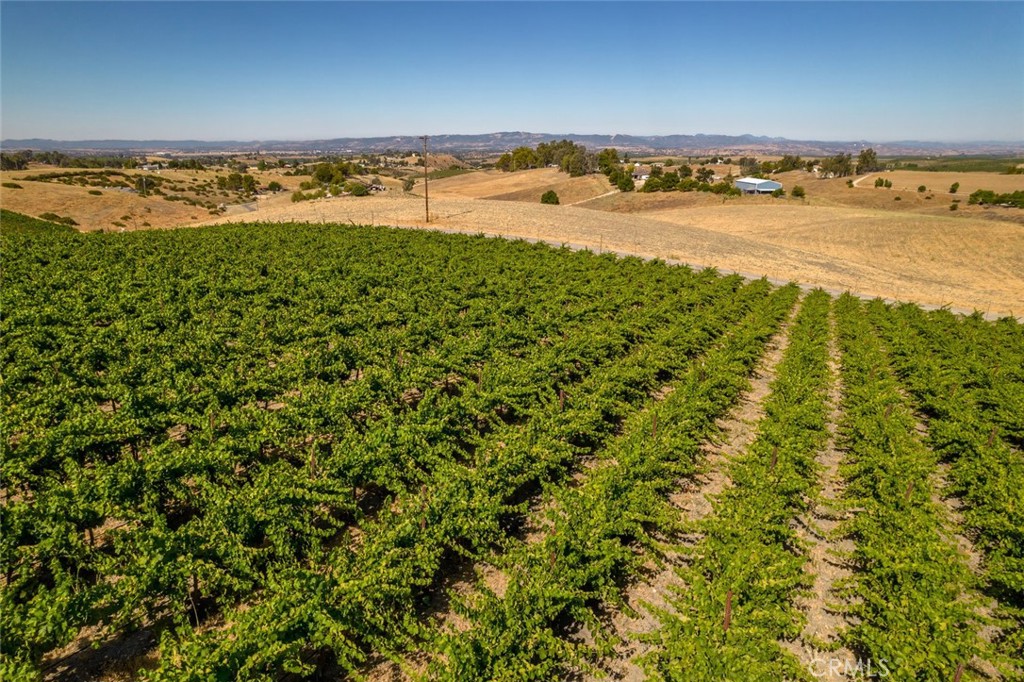 6172 Hawk Ridge Place, Paso Robles, CA 93446