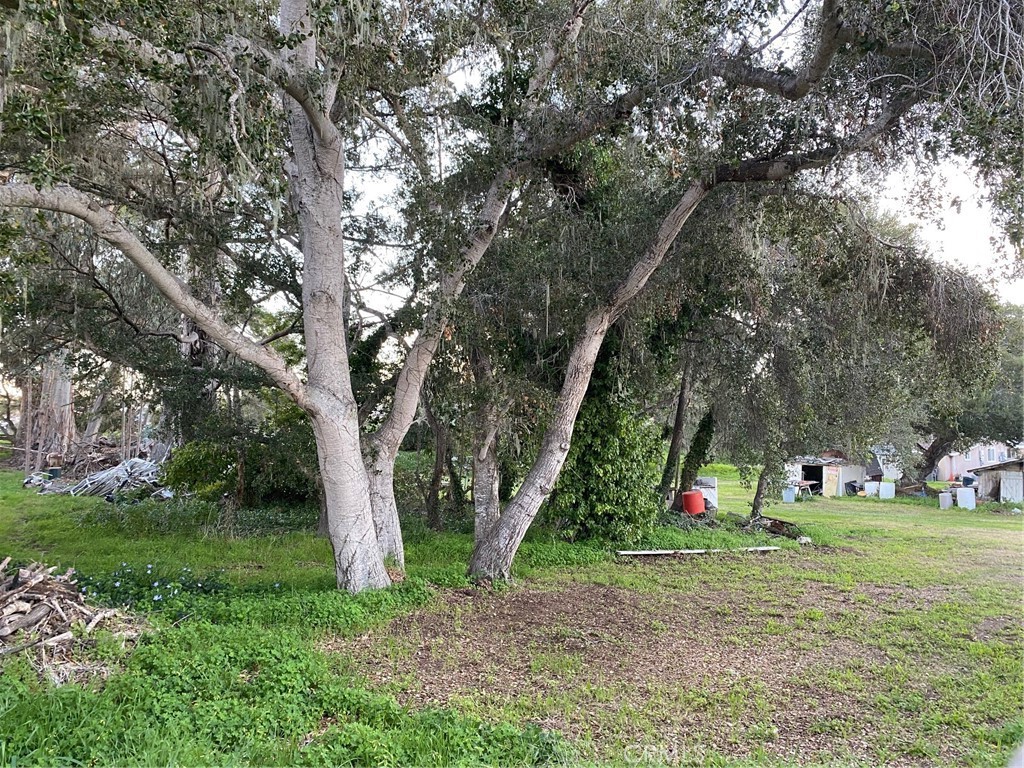 1595 Los Osos Valley Rd #8A, Los Osos, CA 93402