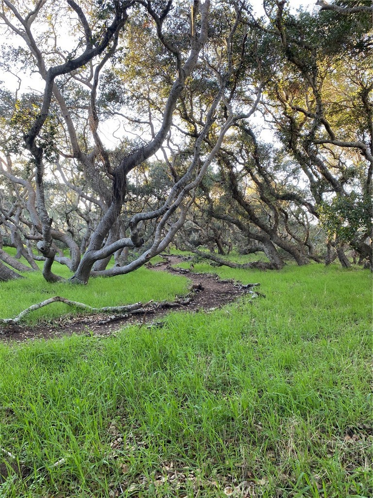 1595 Los Osos Valley Rd #8A, Los Osos, CA 93402