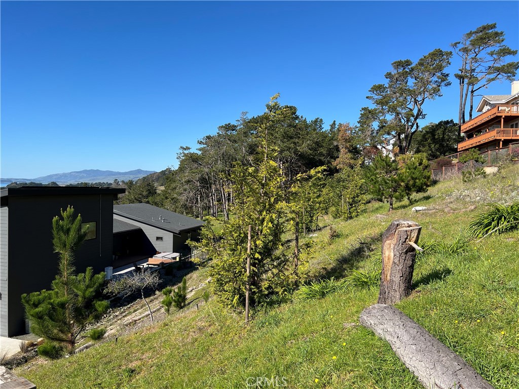 0 Chelsea Ln, Cambria, CA 93428