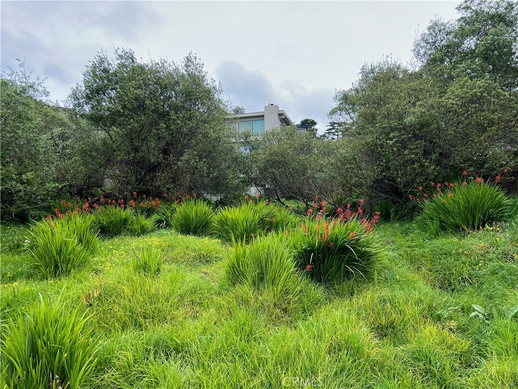 0 Madison St, Cambria, CA 93428