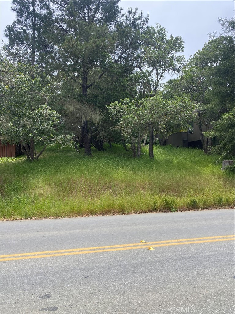 0 Ardath Dr, Cambria, CA 93428