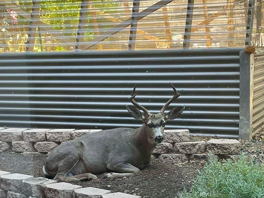 2298 Tipton St, Cambria, CA 93428