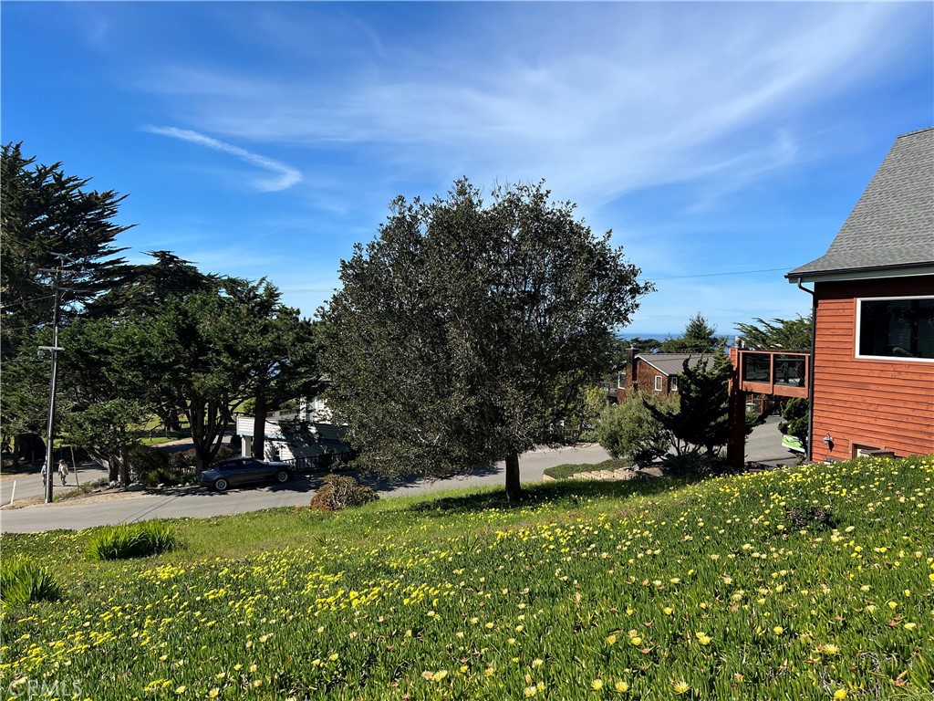 0 Ogden, Cambria, CA 93428