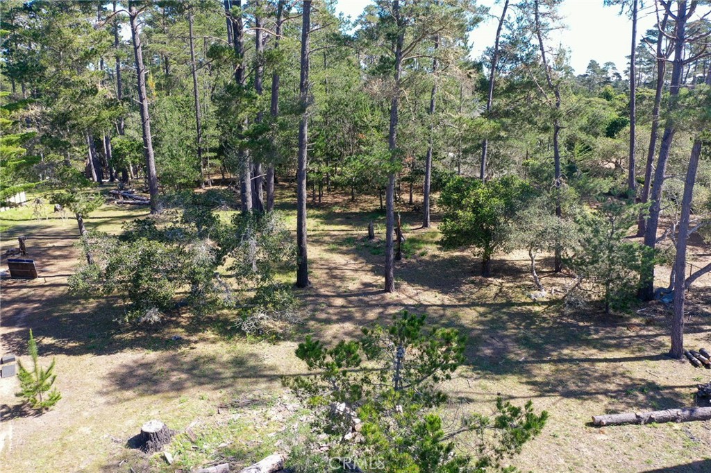 0 Buckley, Cambria, CA 93428