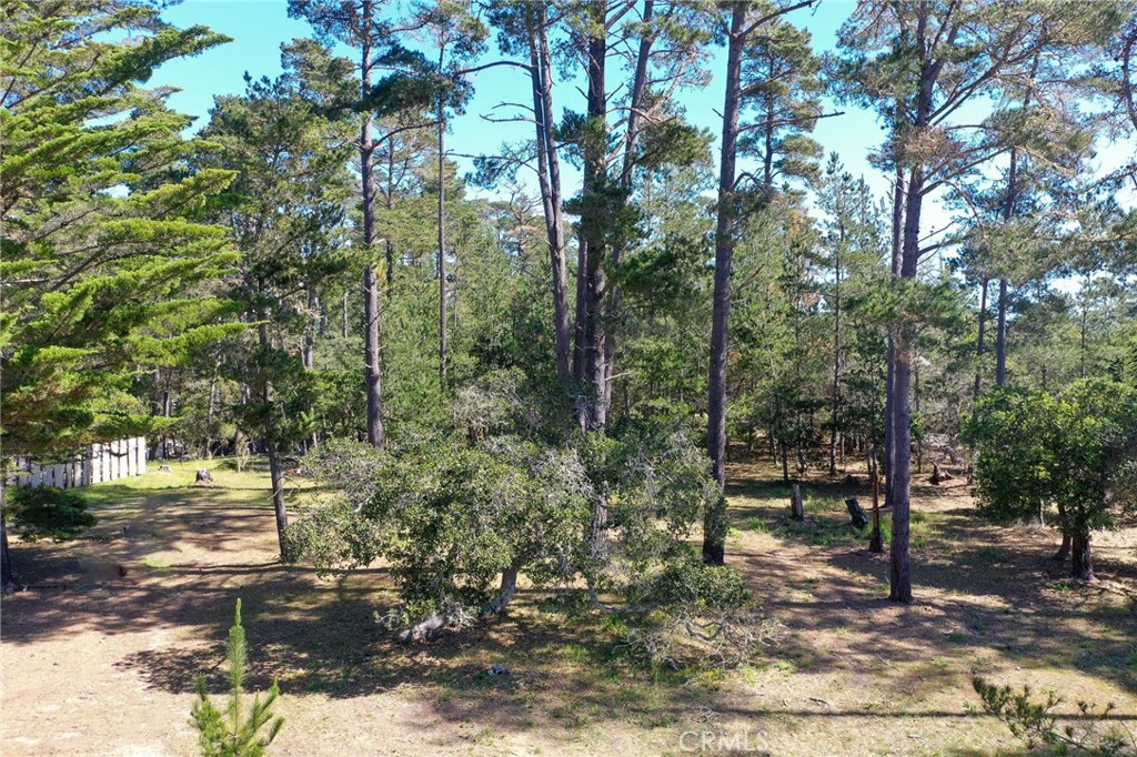 0 Buckley, Cambria, CA 93428