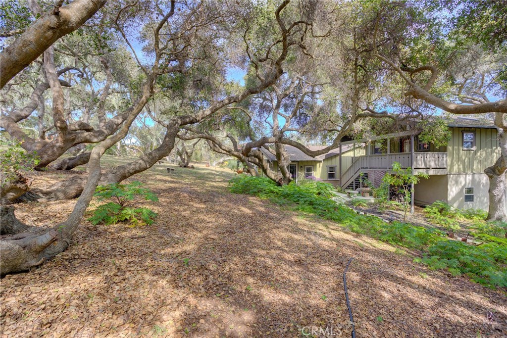 1785 Martingale Ave. Ave, Los Osos, CA 93402