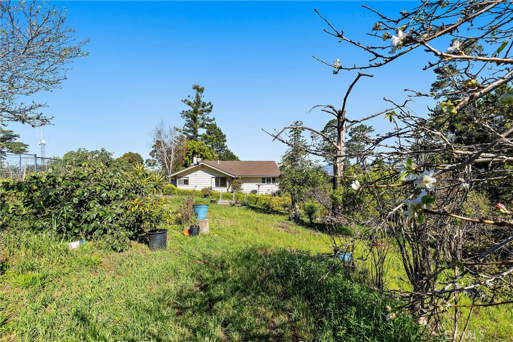 1909 Pineridge, Cambria, CA 93428