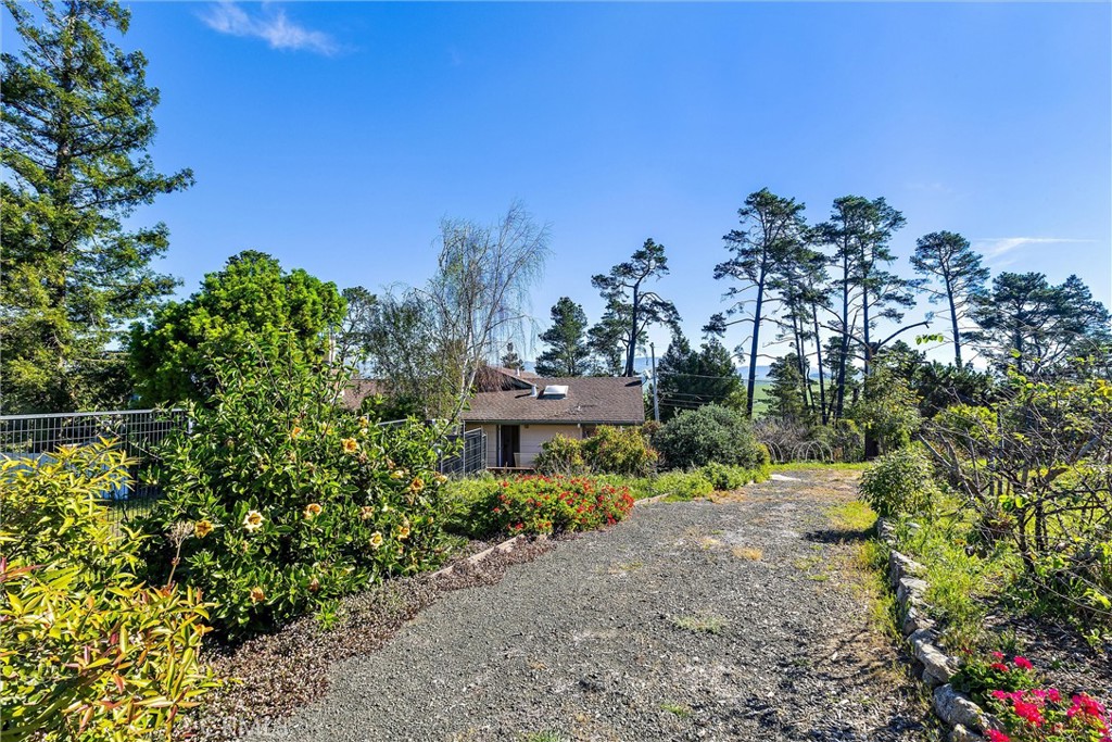 1909 Pineridge, Cambria, CA 93428