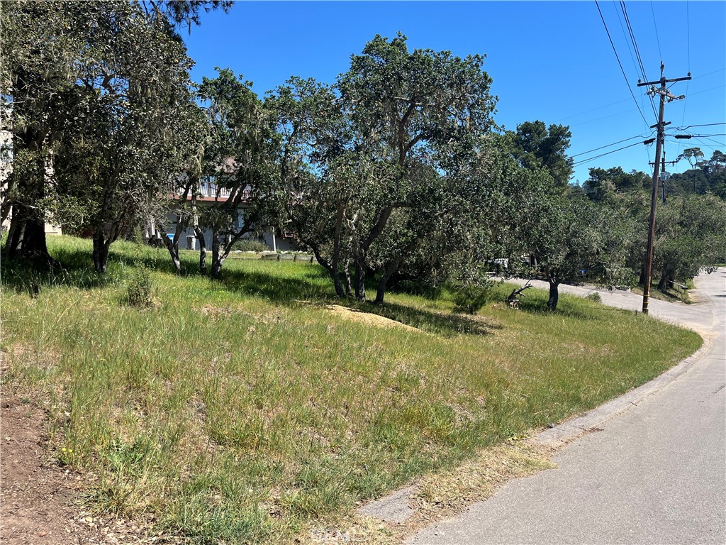 1606 Saint James, Cambria, CA 93428