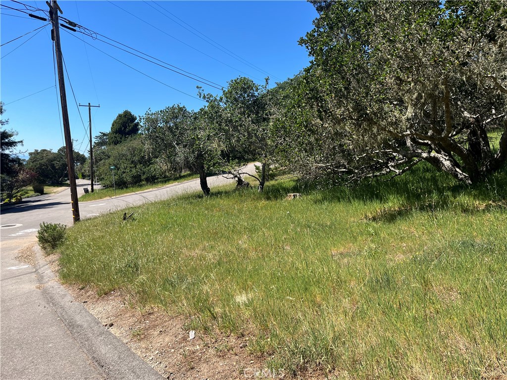1606 Saint James, Cambria, CA 93428