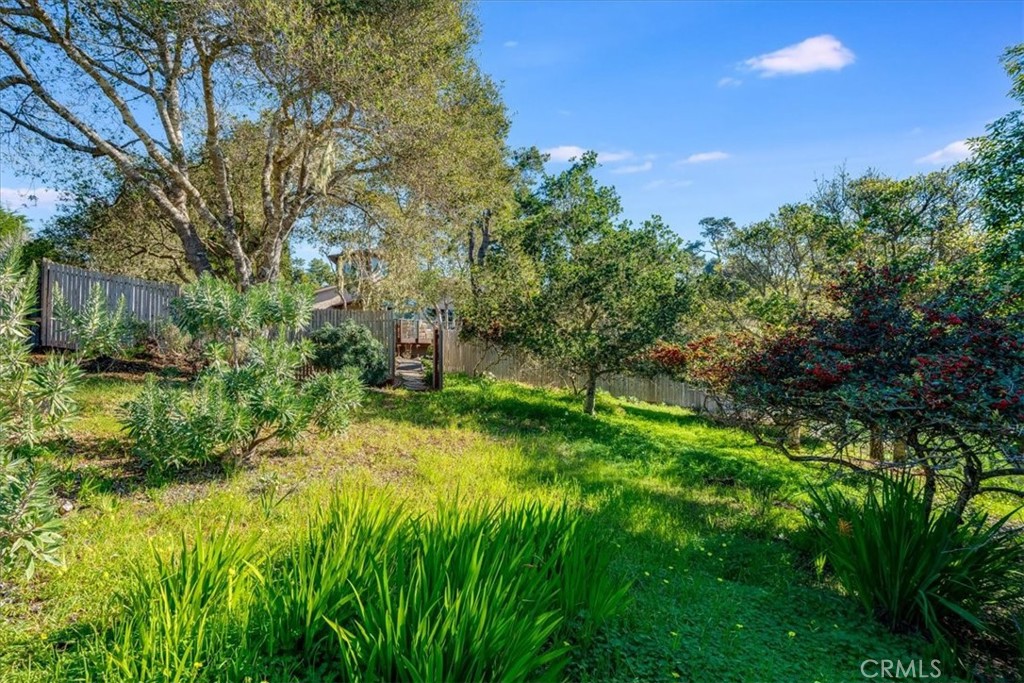 679 Orlando, Cambria, CA 93428