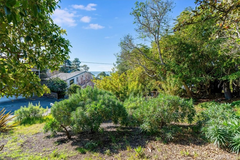 679 Orlando, Cambria, CA 93428