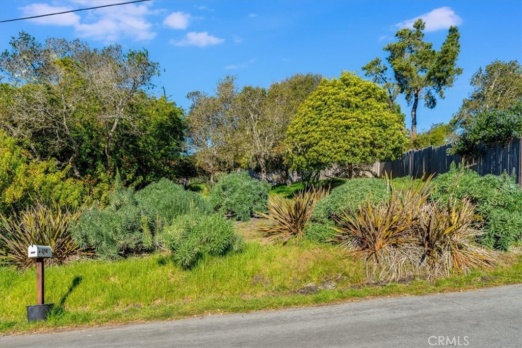 679 Orlando, Cambria, CA 93428