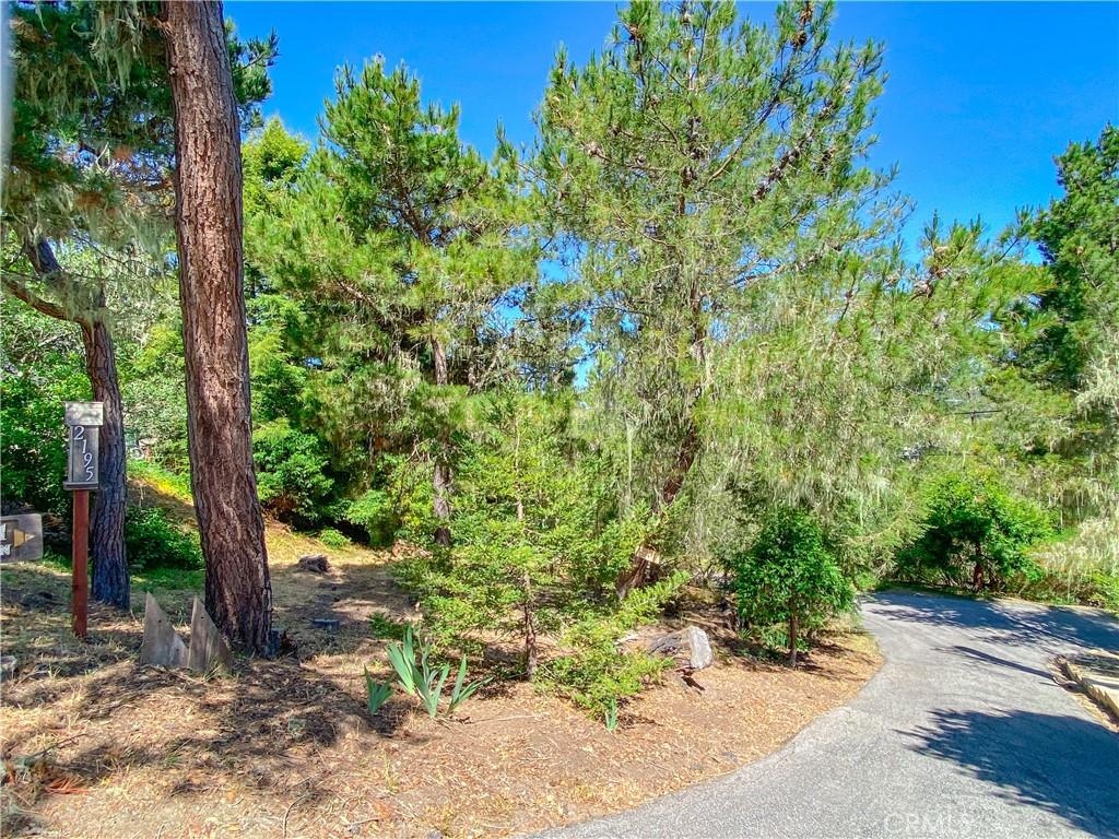 2195 Wilton, Cambria, CA 93428