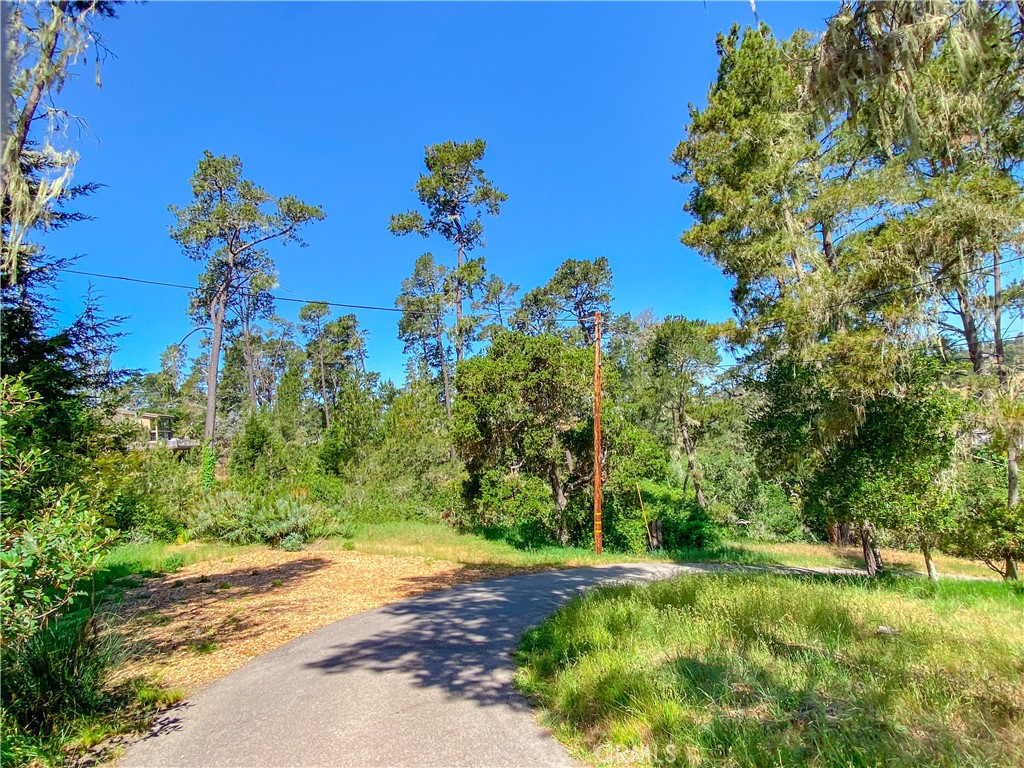 2195 Wilton, Cambria, CA 93428