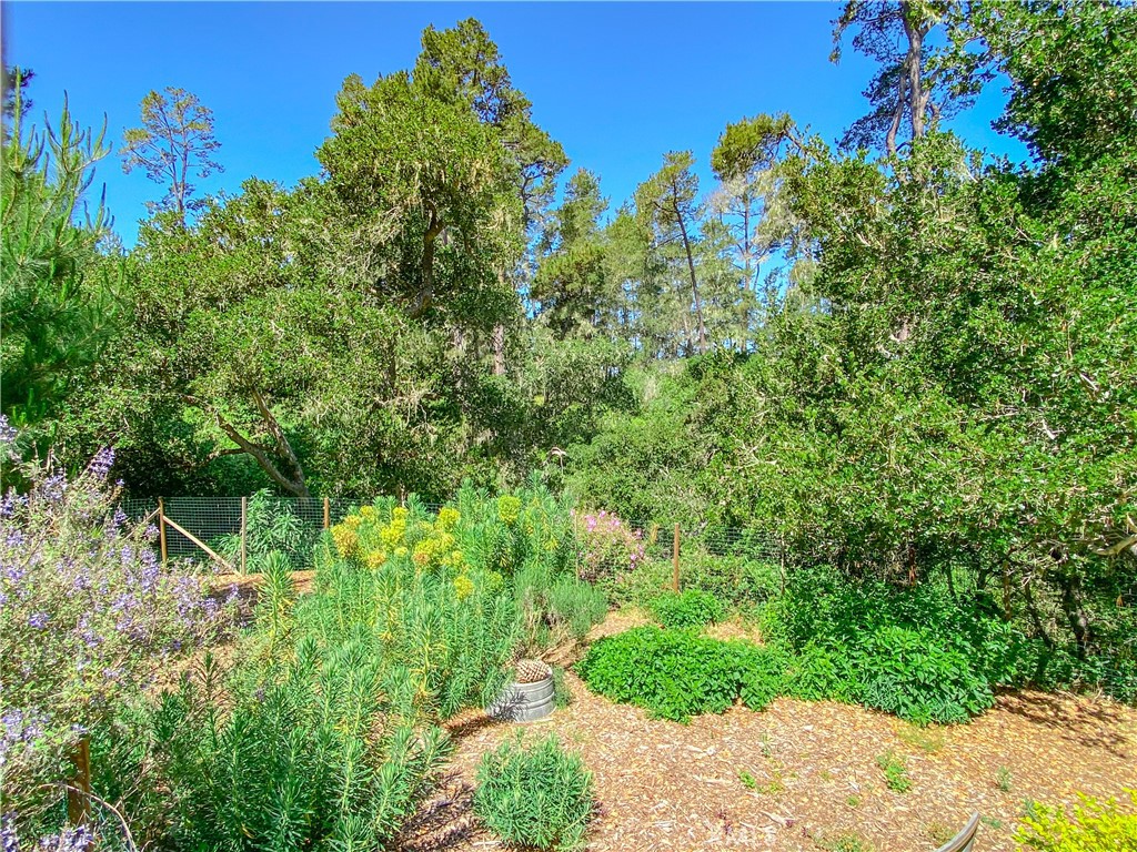2195 Wilton, Cambria, CA 93428