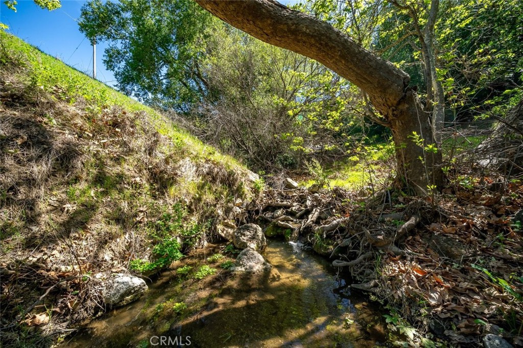 9190 Arroyo del Mar, Cambria, CA 93428