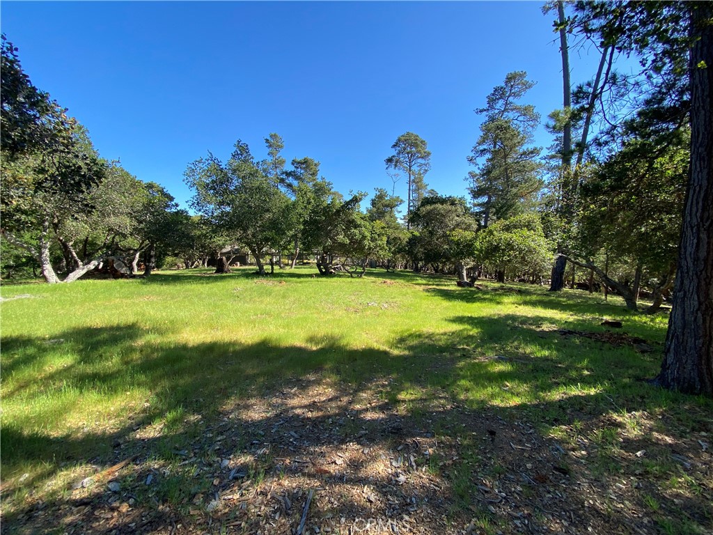 6450 Kathryn, Cambria, CA 93428