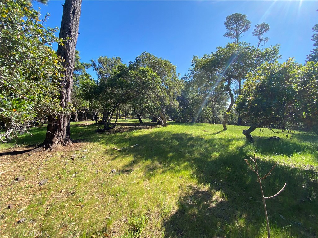 6450 Kathryn, Cambria, CA 93428