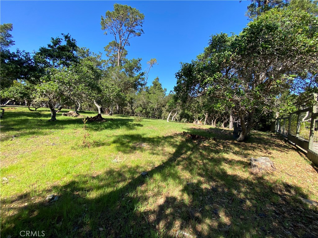 6450 Kathryn, Cambria, CA 93428