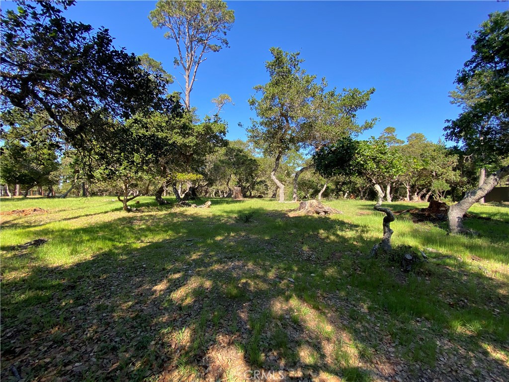 6450 Kathryn, Cambria, CA 93428