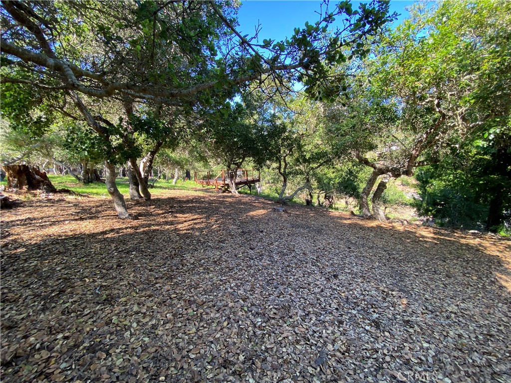 6450 Kathryn, Cambria, CA 93428