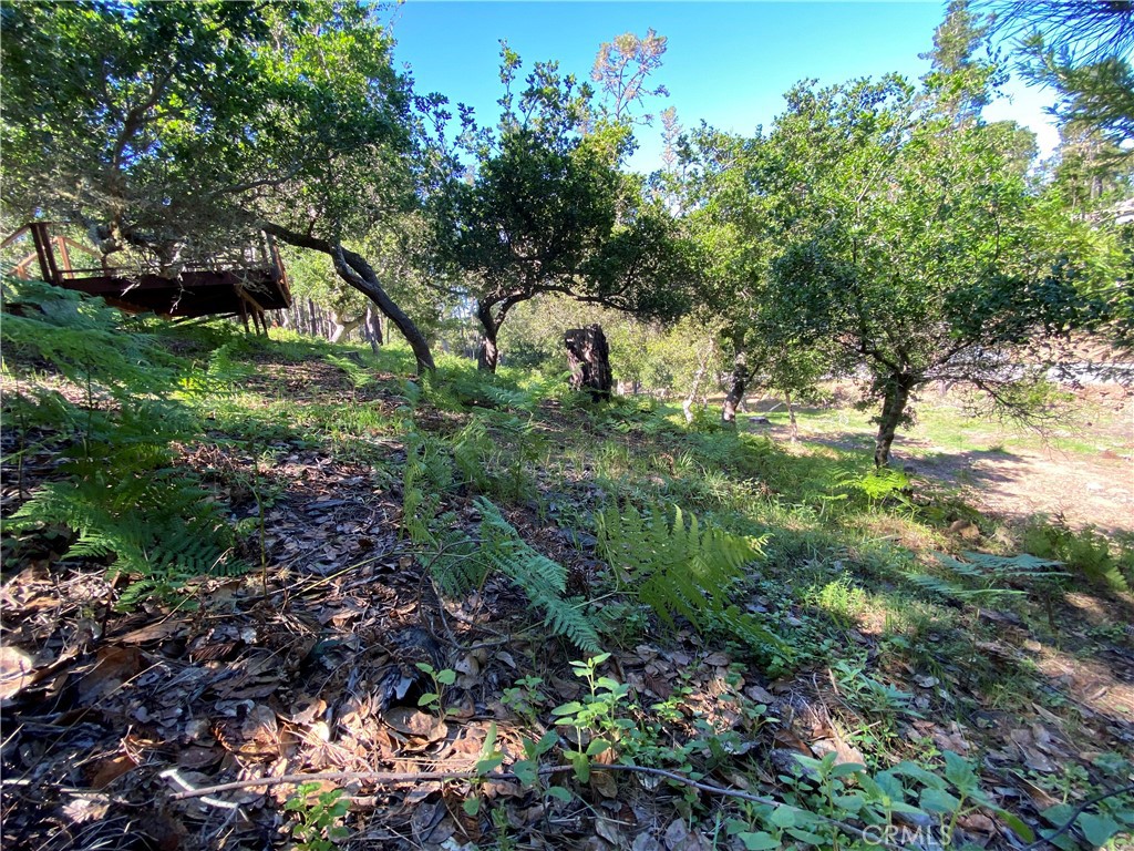 6450 Kathryn, Cambria, CA 93428